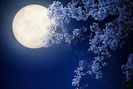 Управление реальностью